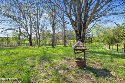 Tiny photo for 570 Stout Town Rd, Blaine, TN 37709 (MLS # 1334965)