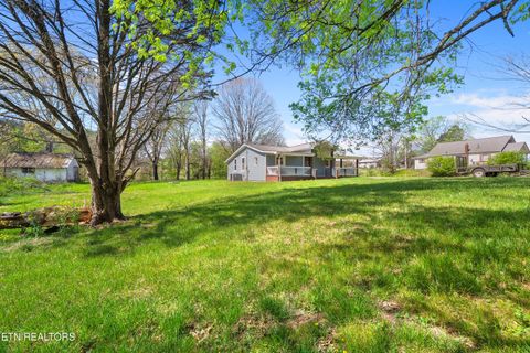 Tiny photo for 570 Stout Town Rd, Blaine, TN 37709 (MLS # 1334965)