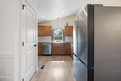 Tiny photo for 570 Stout Town Rd, Blaine, TN 37709 (MLS # 1334965)