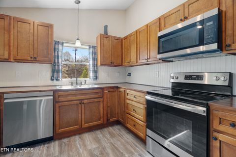 Tiny photo for 570 Stout Town Rd, Blaine, TN 37709 (MLS # 1334965)