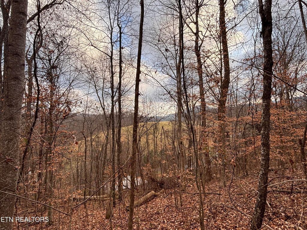 Photo of Mcgaha Hollow Rd, Dandridge, TN 37725 (MLS # 1326363)