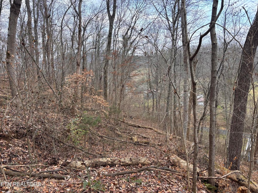 Photo of Mcgaha Hollow Rd, Dandridge, TN 37725 (MLS # 1326363)
