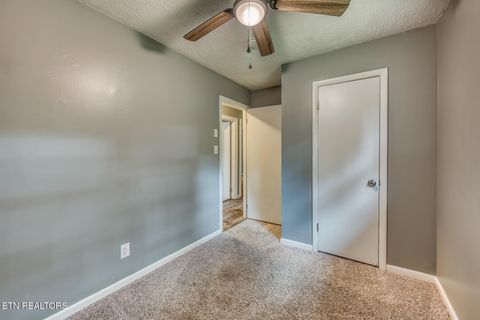 Tiny photo for 8202 Westland Drive, Knoxville, TN 37919 (MLS # 1336801)