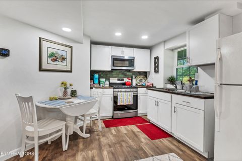 Tiny photo for 5021 Millsaps Drive, Greenback, TN 37742 (MLS # 1338315)