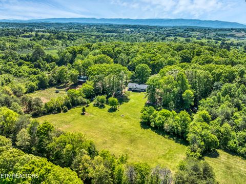 Tiny photo for 5021 Millsaps Drive, Greenback, TN 37742 (MLS # 1338315)