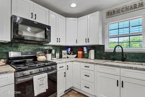 Tiny photo for 5021 Millsaps Drive, Greenback, TN 37742 (MLS # 1338315)