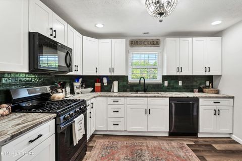 Tiny photo for 5021 Millsaps Drive, Greenback, TN 37742 (MLS # 1338315)