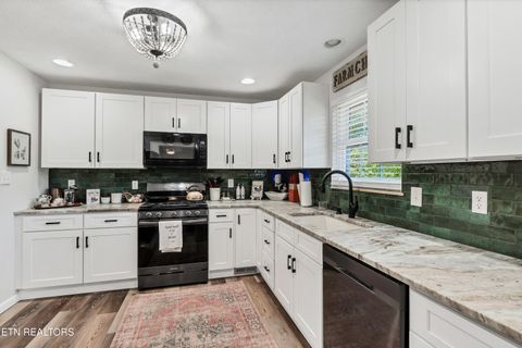 Tiny photo for 5021 Millsaps Drive, Greenback, TN 37742 (MLS # 1338315)