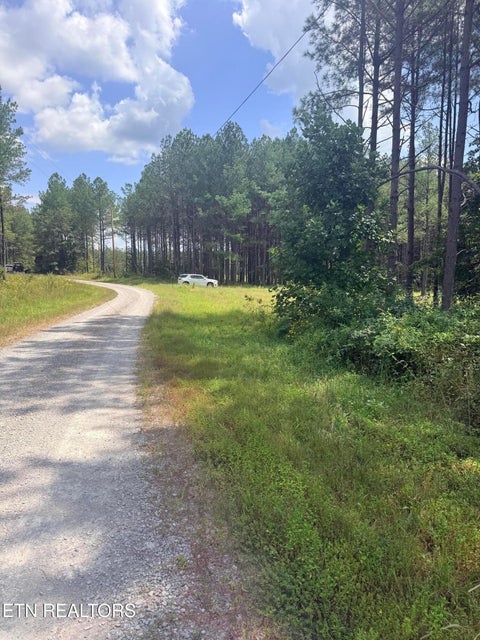 Tiny photo for 145 Black Bear Lane, Sunbright, TN 37872 (MLS # 1354215)