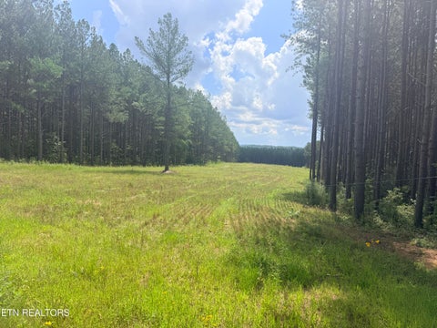 Tiny photo for 145 Black Bear Lane, Sunbright, TN 37872 (MLS # 1354215)