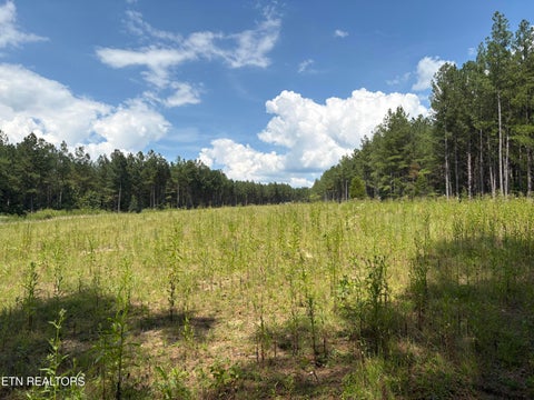 Tiny photo for 145 Black Bear Lane, Sunbright, TN 37872 (MLS # 1354215)