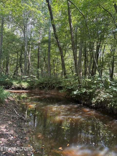 Tiny photo for 145 Black Bear Lane, Sunbright, TN 37872 (MLS # 1354215)