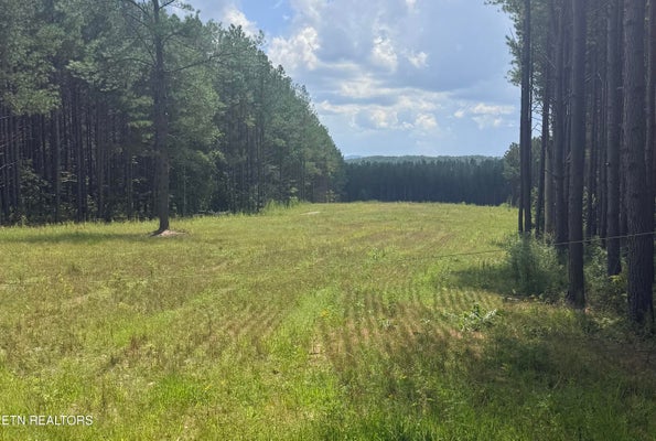 145 BLACK BEAR LN, SUNBRIGHT, TN 37872 - Image 1930b61a610e7e7b56a7aed5a7993ae4/2012015012