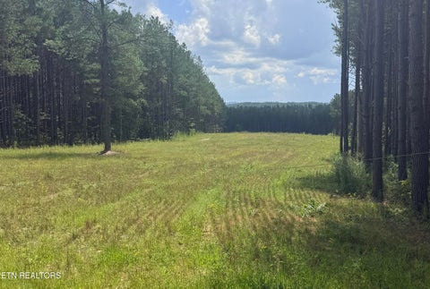 Photo of 145 Black Bear Lane, Sunbright, TN 37872 (MLS # 1354215)