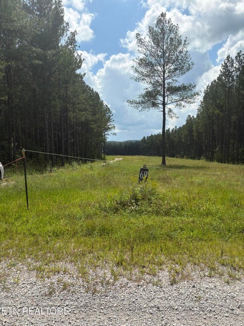 Tiny photo for 145 Black Bear Lane, Sunbright, TN 37872 (MLS # 1354215)