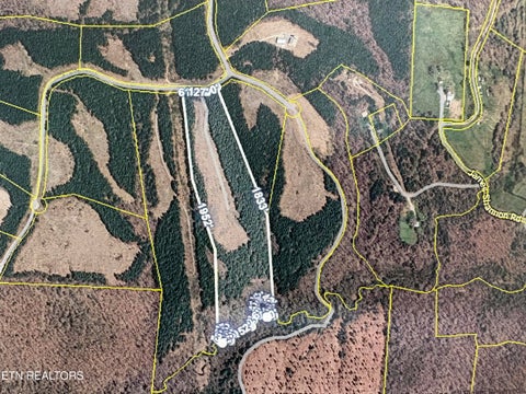 Tiny photo for 145 Black Bear Lane, Sunbright, TN 37872 (MLS # 1354215)