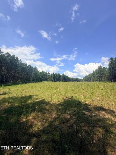Tiny photo for 145 Black Bear Lane, Sunbright, TN 37872 (MLS # 1354215)
