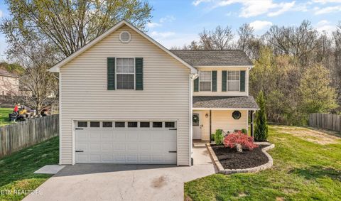 8218 Jack Russell Court Powell TN 37849