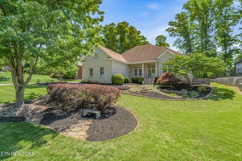 Photo of 680 Oak Chase Blvd, Lenoir City, TN 37772 (MLS # 1341621)