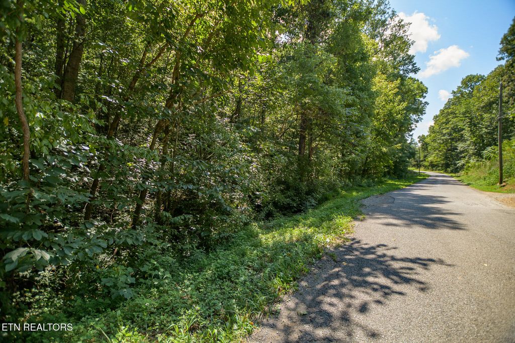 Photo of 200 Scenic River Rd, Madisonville, TN 37354 (MLS # 1312632)