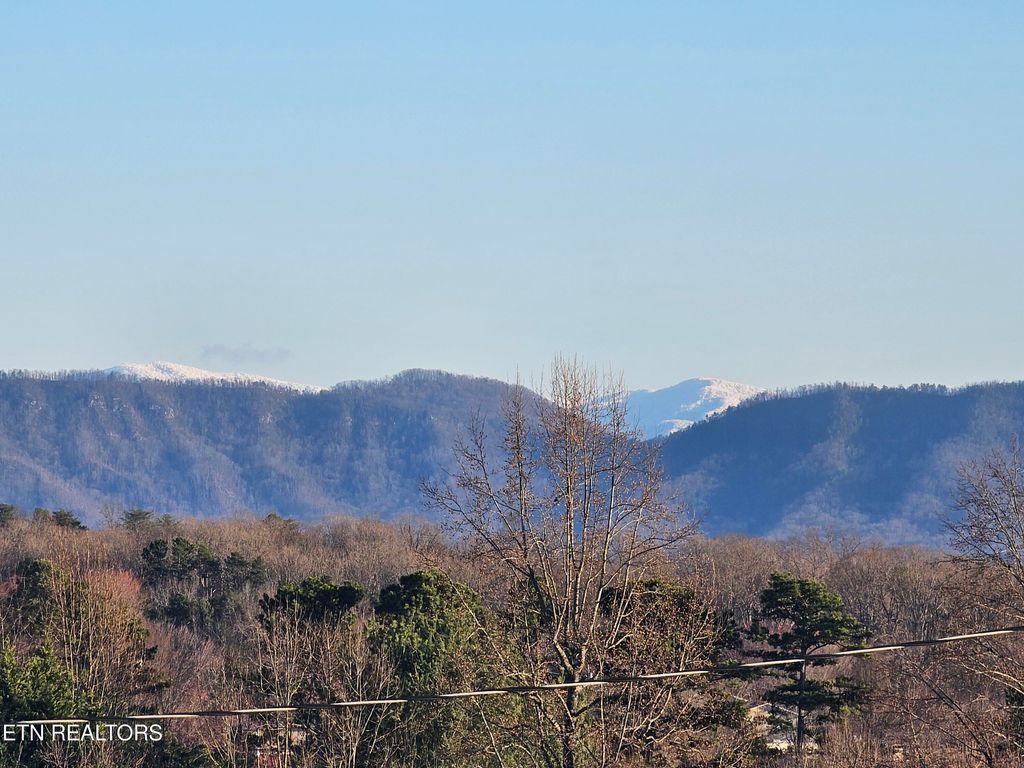 Photo of 648 Emerald Ave, Seymour, TN 37865 (MLS # 1292388)