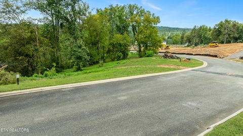 Photo of 118 Black Oak Drive, Oak Ridge, TN 37830 (MLS # 1318401)