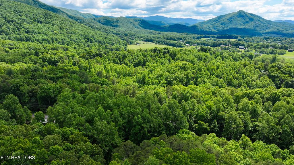 Photo of 3435 Walker Lane, Sevierville, TN 37862 (MLS # 1340895)