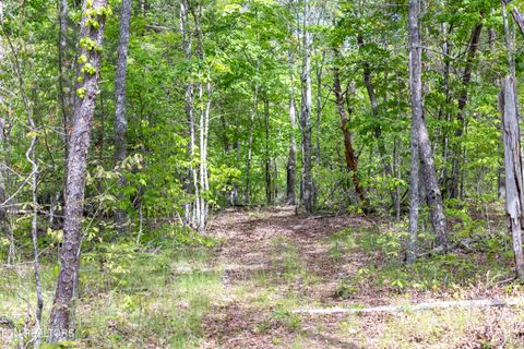 Tiny photo for 000 Summers Home Lane, Dayton, TN 37321 (MLS # 1339559)
