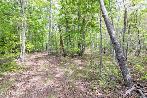 Tiny photo for 000 Summers Home Lane, Dayton, TN 37321 (MLS # 1339559)