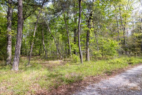 Tiny photo for 000 Summers Home Lane, Dayton, TN 37321 (MLS # 1339559)