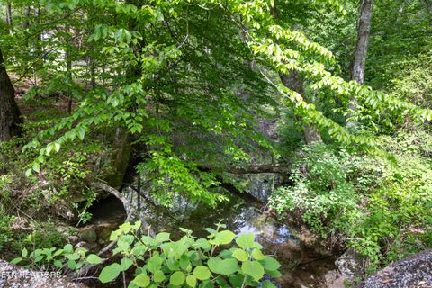 Photo of 000 Summers Home Lane, Dayton, TN 37321 (MLS # 1339559)