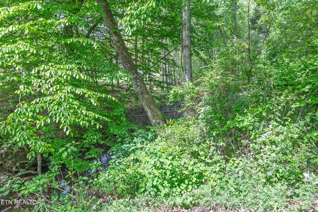 Photo of 000 Summers Home Lane, Dayton, TN 37321 (MLS # 1339559)