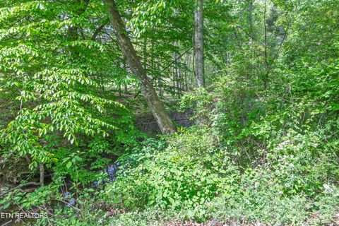 Tiny photo for 000 Summers Home Lane, Dayton, TN 37321 (MLS # 1339559)