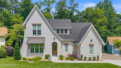 243 Chuniloti Way Loudon TN 37774