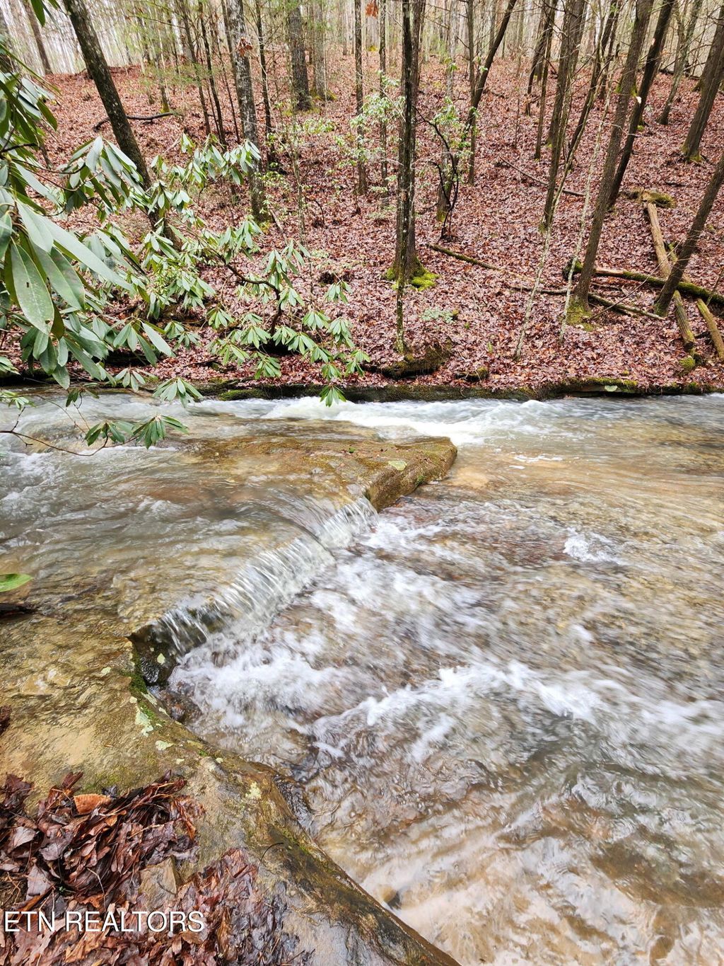 Photo of 470 Bear Branch Rd, Wartburg, TN 37887 (MLS # 1337868)
