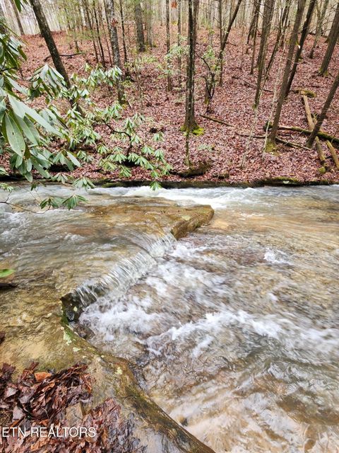 Tiny photo for 470 Bear Branch Rd, Wartburg, TN 37887 (MLS # 1337868)