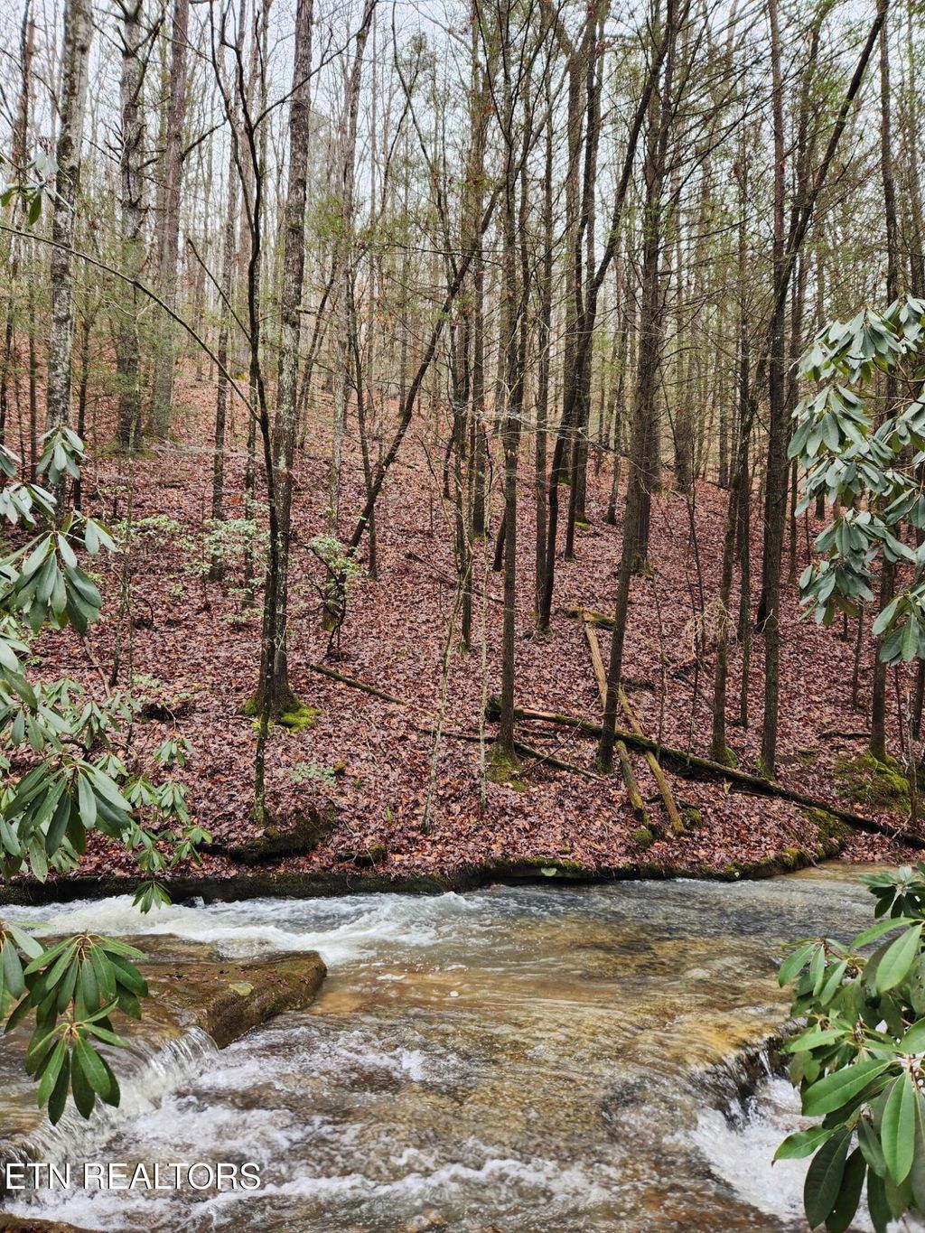 Photo of 470 Bear Branch Rd, Wartburg, TN 37887 (MLS # 1337868)
