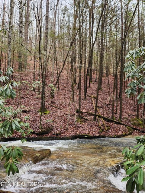 Photo of 470 Bear Branch Rd, Wartburg, TN 37887 (MLS # 1337868)