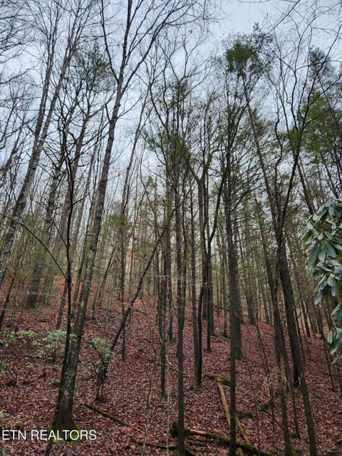 Tiny photo for 470 Bear Branch Rd, Wartburg, TN 37887 (MLS # 1337868)