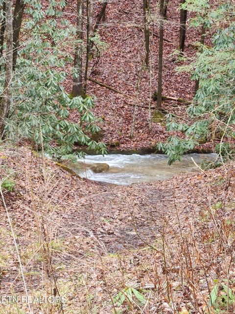 Tiny photo for 470 Bear Branch Rd, Wartburg, TN 37887 (MLS # 1337868)