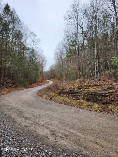 Tiny photo for 470 Bear Branch Rd, Wartburg, TN 37887 (MLS # 1337868)