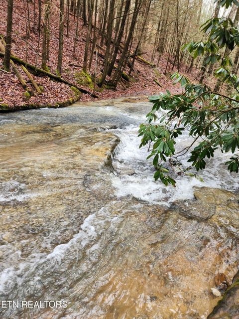 Tiny photo for 470 Bear Branch Rd, Wartburg, TN 37887 (MLS # 1337868)