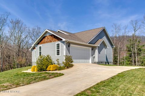 Tiny photo for 664 Green Ridge Tr, Harriman, TN 37748 (MLS # 1333762)
