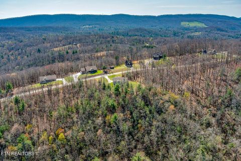 Tiny photo for 664 Green Ridge Tr, Harriman, TN 37748 (MLS # 1333762)