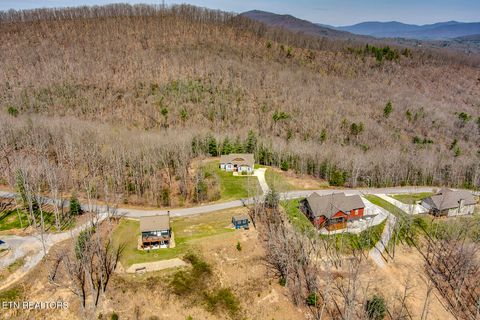Tiny photo for 664 Green Ridge Tr, Harriman, TN 37748 (MLS # 1333762)