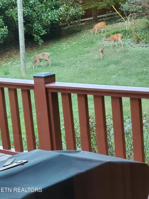 Tiny photo for 1515 Crestway Drive, Athens, TN 37303 (MLS # 1330172)