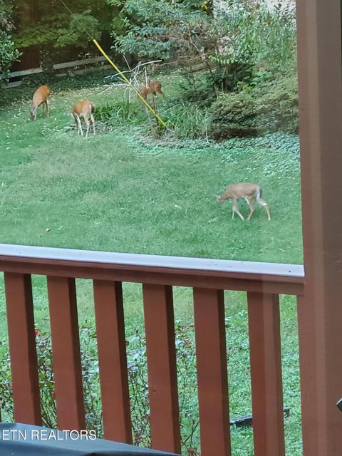 Tiny photo for 1515 Crestway Drive, Athens, TN 37303 (MLS # 1330172)