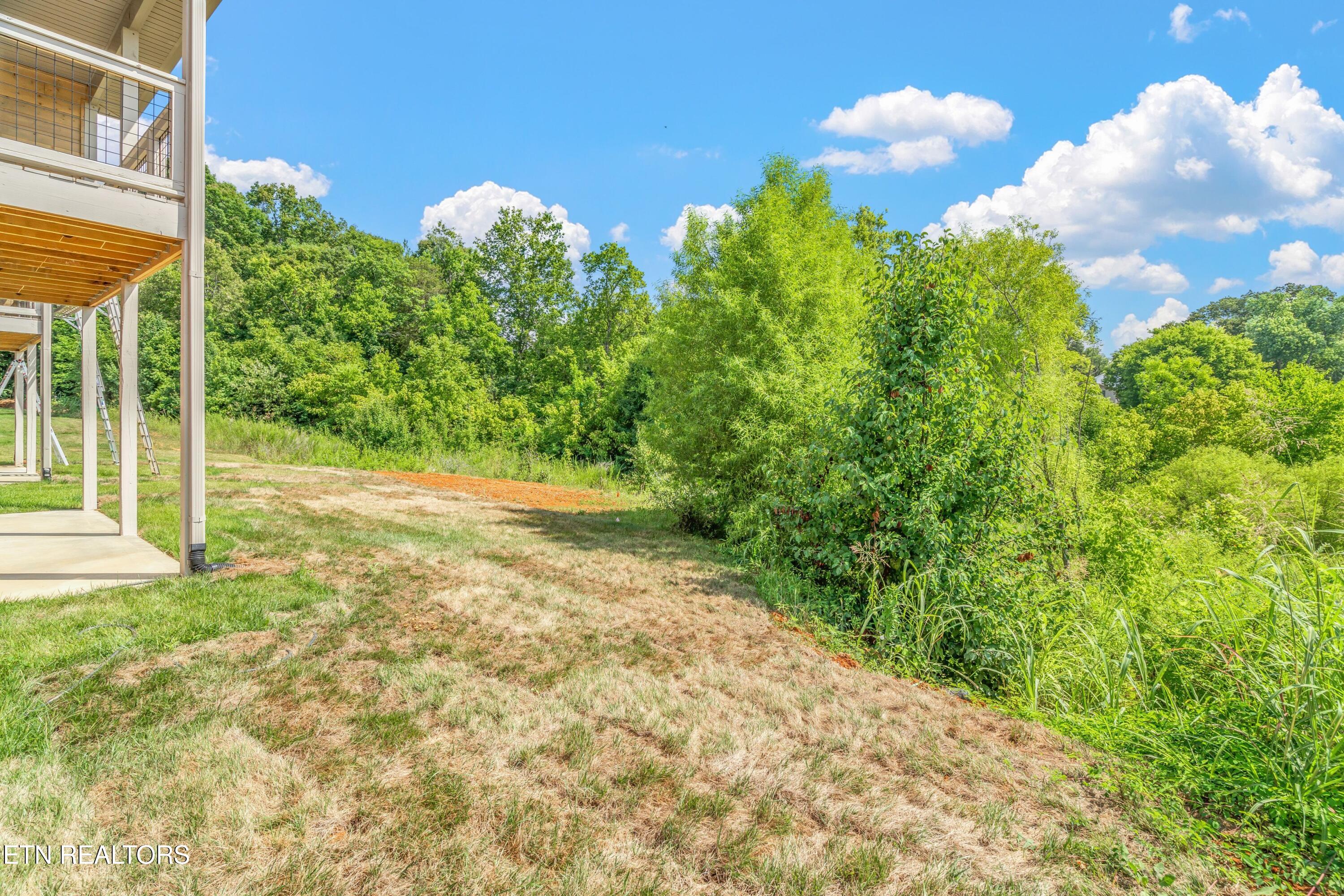 1160 Meadow Walk Lane 58