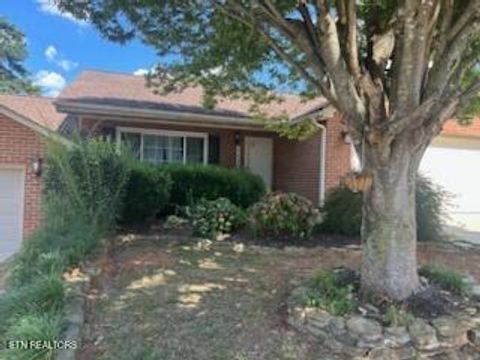 3908 Spyglass Drive Maryville TN 37801