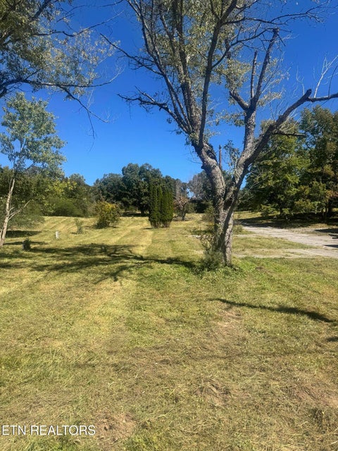 Tiny photo for 214 Cates Rd, Rockwood, TN 37854 (MLS # 1358399)